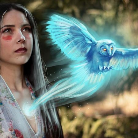 فندق The Sleepy Owl فورت فرانسيس المظهر الخارجي الصورة