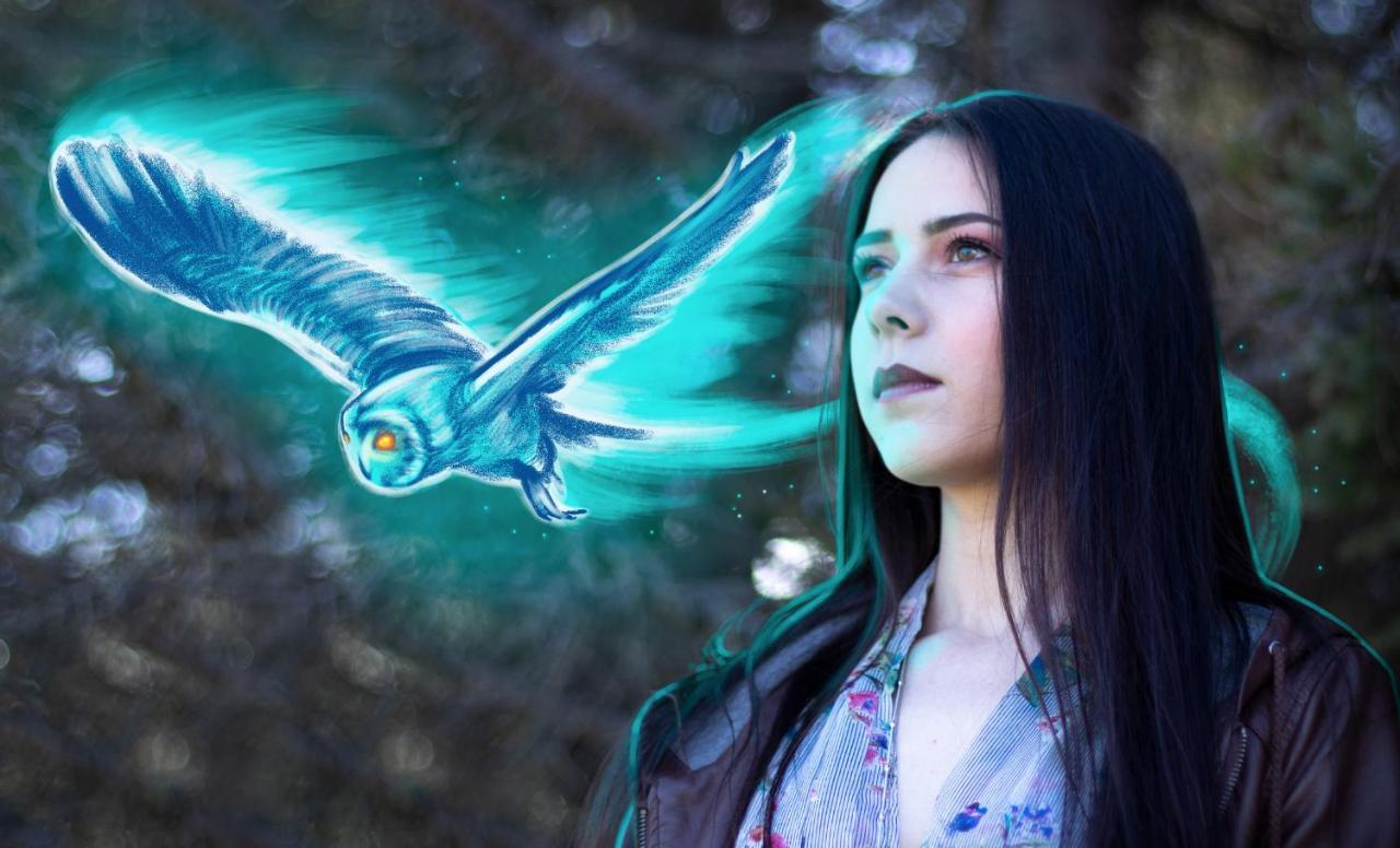 فندق The Sleepy Owl فورت فرانسيس المظهر الخارجي الصورة